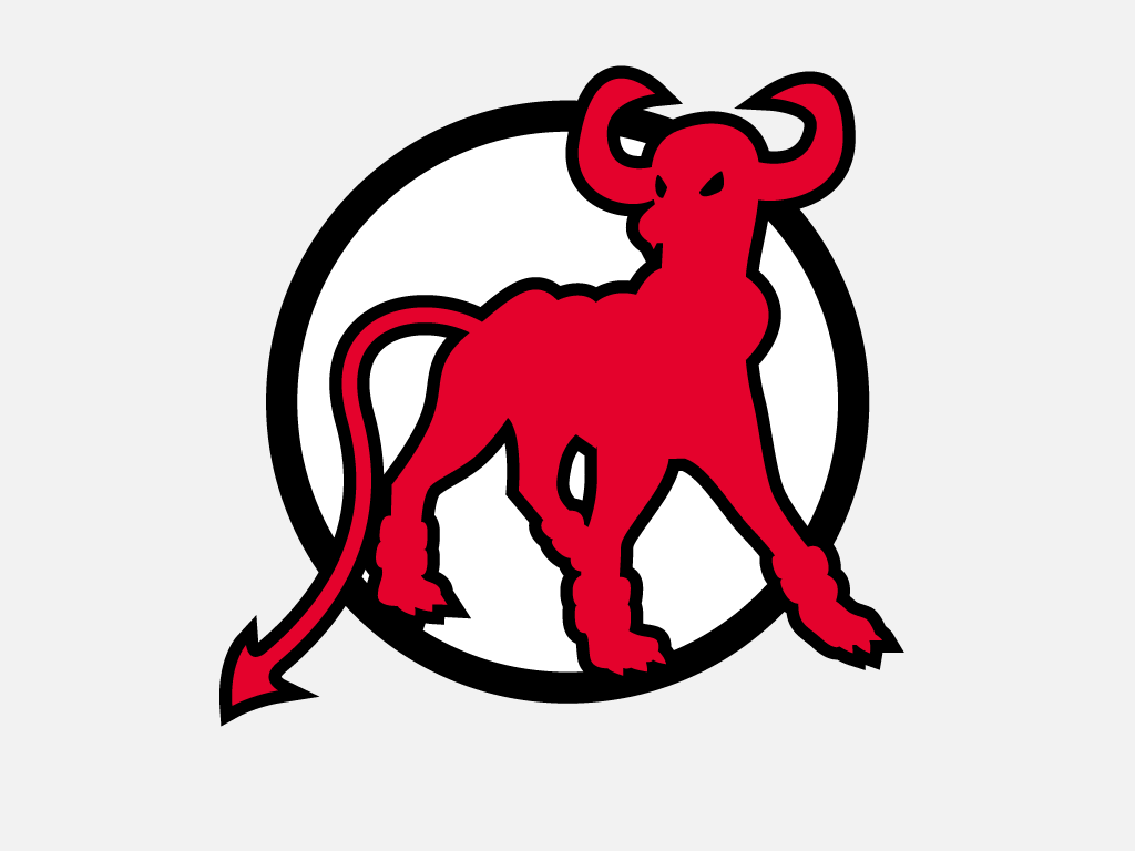 New Jersey Devil Dogs logo DIY iron on transfer (heat transfer)